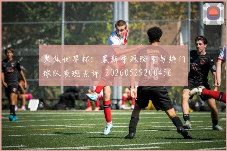 聚焦世界杯：最新夺冠赔率与热门球队表现点评_20260529200456
